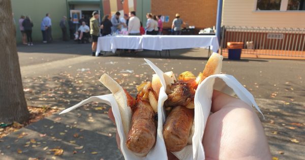 The hollow - and hollowed out - political parties