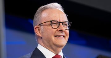 Albo gets back to work while Coalition blame game begins