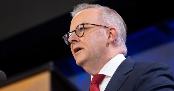 Labor's interim emissions target attracts both kinds of criticism