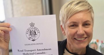 Greens' bill allowing medicinal cannabis users to drive gains support