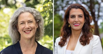 Close calls in Bradfield and Goldstein force vote recounts