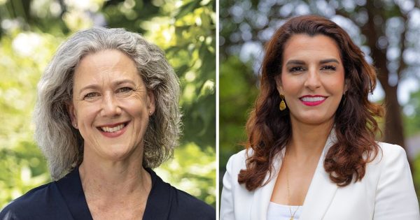 Close calls in Bradfield and Goldstein force vote recounts