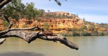 South Australia honours 30 by 30 strategy by expanding national parks