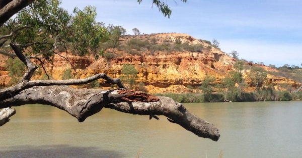 South Australia honours 30 by 30 strategy by expanding national parks