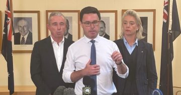Nationals' dummy spit hands Labor an even sweeter victory