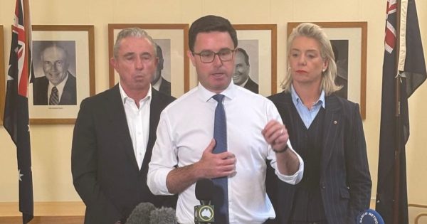 Nationals' dummy spit hands Labor an even sweeter victory