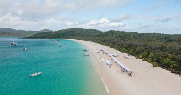 Barefoot luxury, premium dining and vibrant live music returns for Whitehaven’s signature long lunch in September