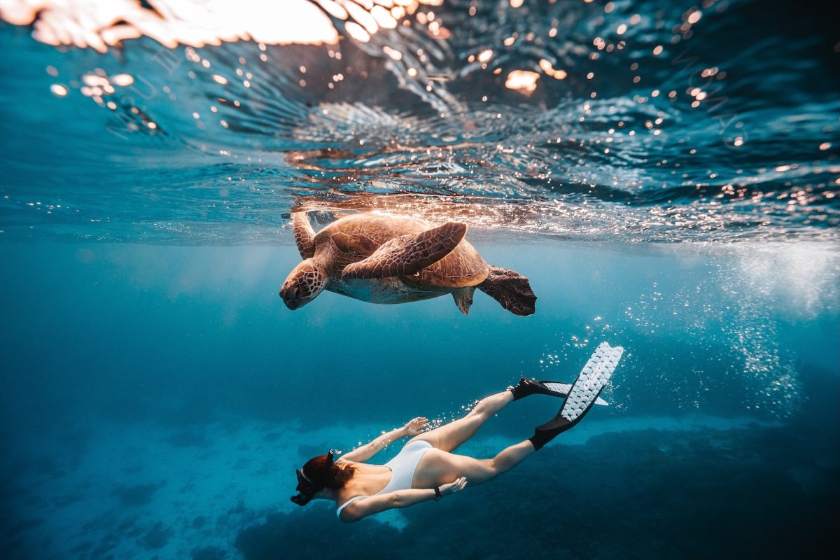 a woman snorkelling under a turtle