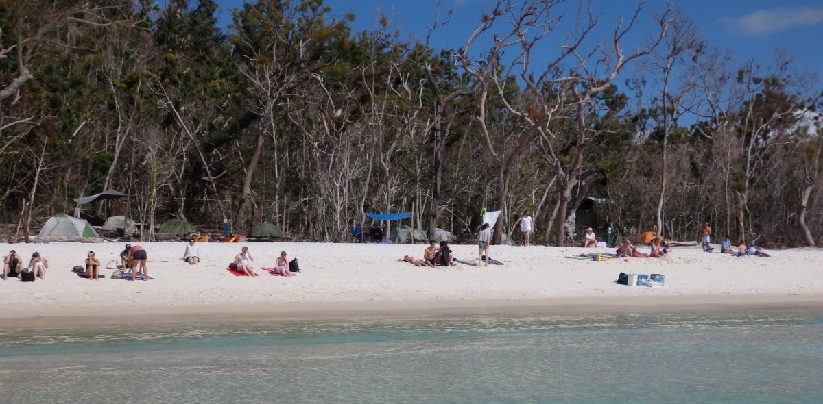 Relax, swim, explore. Whitehaven Beach is a seven-kilometre stretch of sand known for its 98 per cent silica sand, which gives it a soft, white appearance.