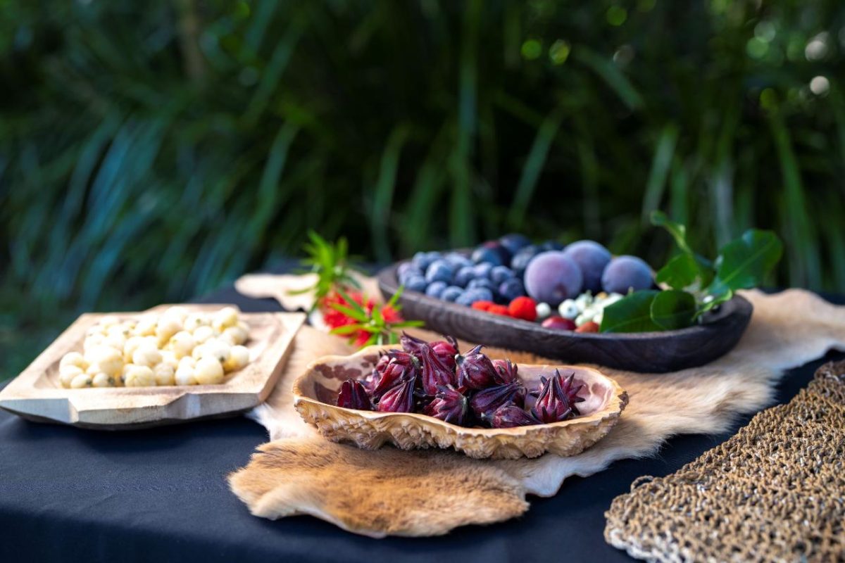 edible native food plants