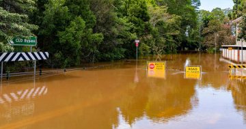 NSW provides relief for flood-affected livestock and farmers through airdrops