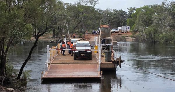 Sinking feeling ends for tourists, businesses as Jardine Ferry relaunched