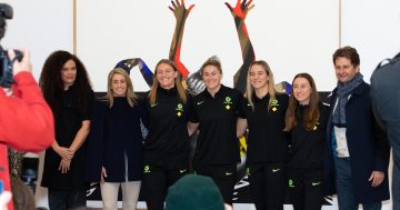 Matildas' 2023 World Cup squad to be Portrait Gallery's first commissioned artwork of a sports team