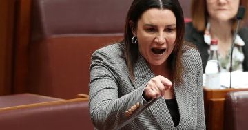 Senator Lambie's office 'inundated' with calls from NDIS clients concerned about funding review
