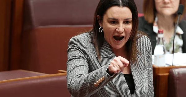Senator Lambie's office 'inundated' with calls from NDIS clients concerned about funding review