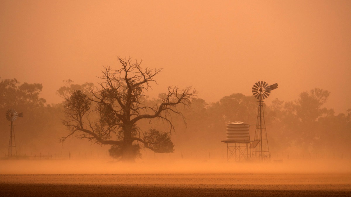 dust storm in the bush