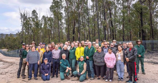 25 km feral-proof fence safeguards threatened species