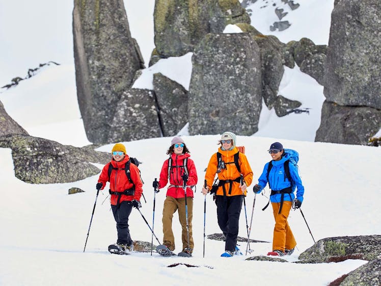 snow skiers