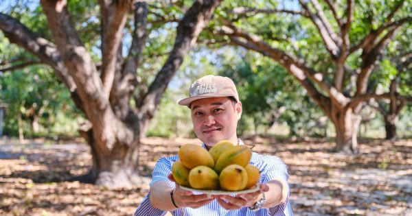A hidden gem on Vietnam's southern coast beckons with unspoiled beauty among a sea of attractions
