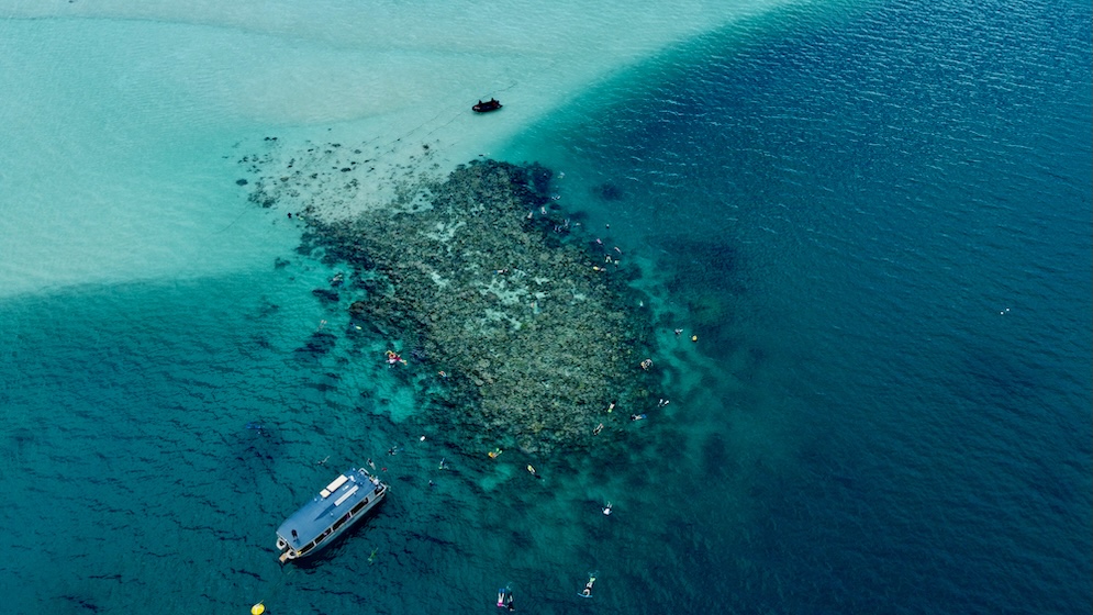 a ship and snorkellers at a coral reef 