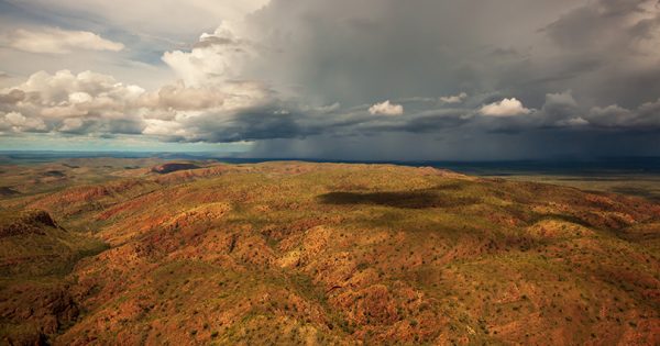 In 'landmark moment', WA Government passes bill to protect native forests