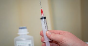 Answers urgently sought over Trump's pharmaceuticals tariff plan