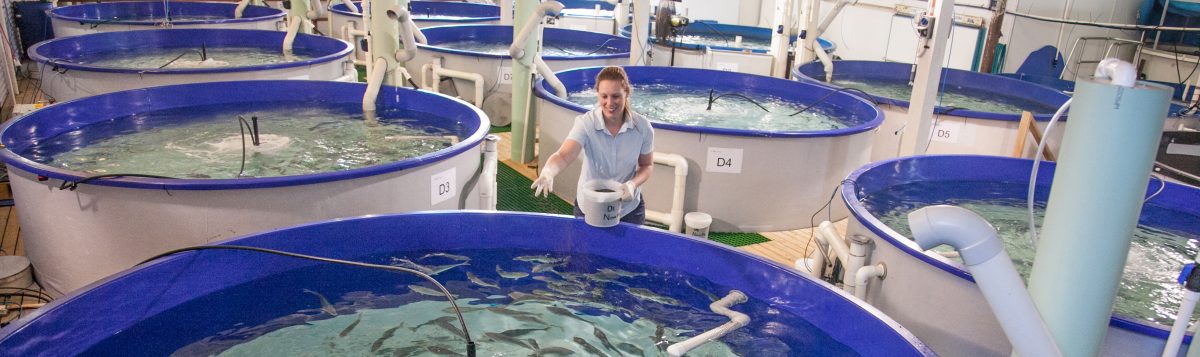 aquaculture