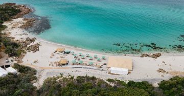 A feast for the senses, Pair'd Margaret River Region 2025 program fuses food, wine, music and culture