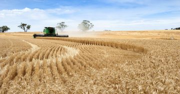 Ground-breaking grant scheme set to help WA farmers' markets reap rewards