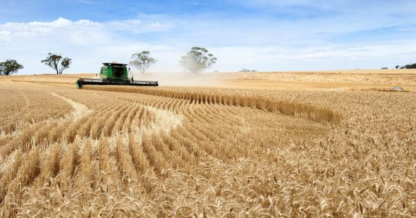 Ground-breaking grant scheme set to help WA farmers' markets reap rewards