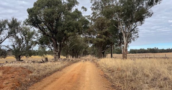 Drought tightens grip on southern NSW as conditions worsen
