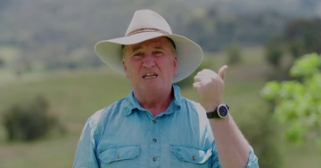 Debate begins on Barnaby's bill, in a political ploy brought on by Labor