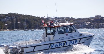 New maritime vessel 'Thunderbird' to extend NSW's emergency response ability as far as Lord Howe Island
