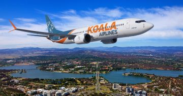 New airline entrant Koala Airlines seeks not to go the way of the dodo