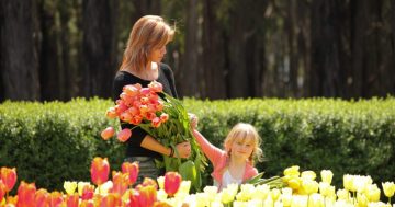Bask in the natural splendour of springtime efflorescence