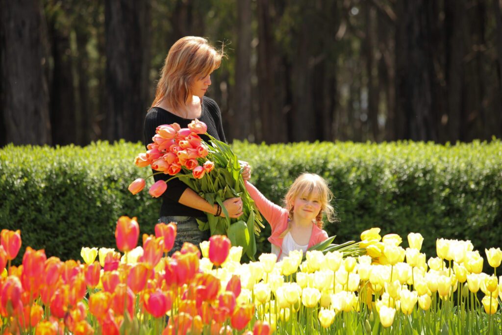 a woman and a child in a tulip field