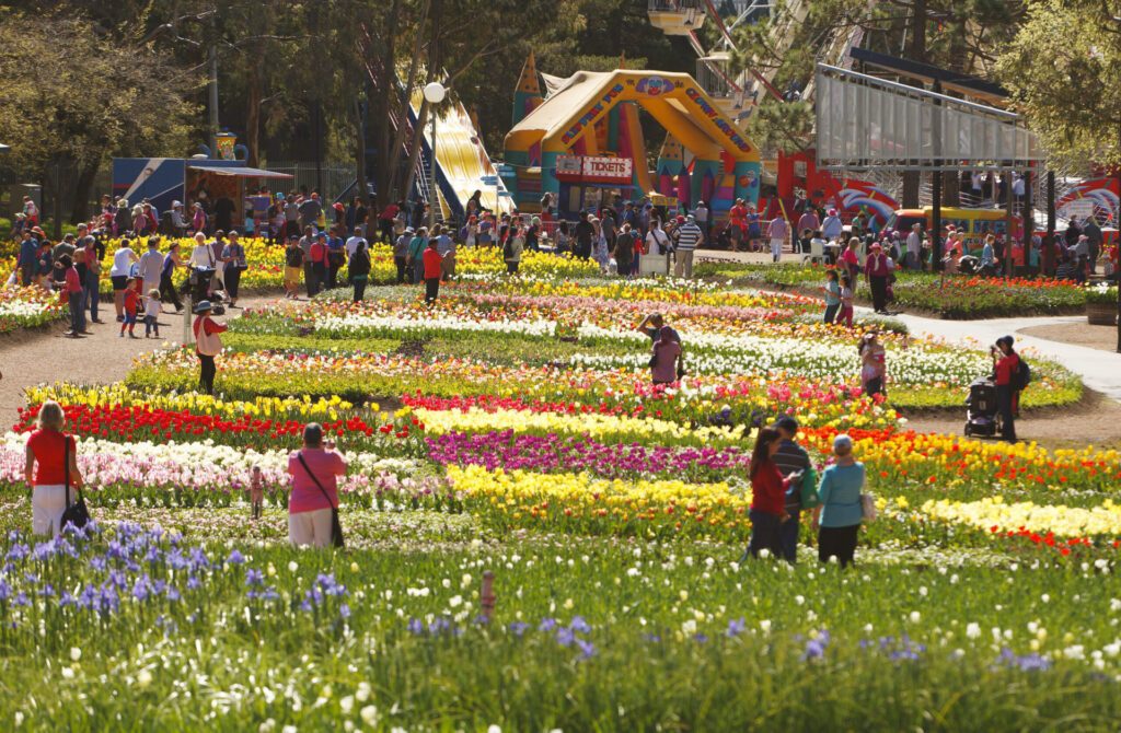 People at a flower festival