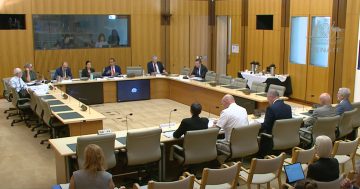 Parliament’s Joint Standing Committee on Foreign Affairs, Defence and Trade formed