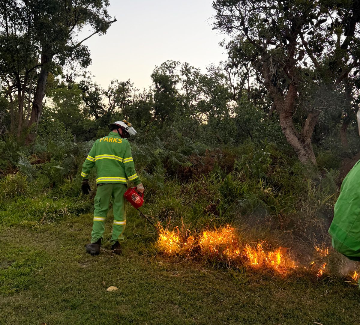 firefighter doing a controlled burn
