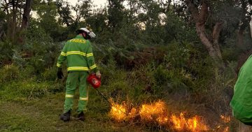 Queensland performs record number of planned burns ahead of bushfire season