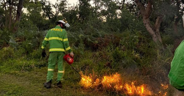 Queensland performs record number of planned burns ahead of bushfire season