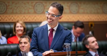 ACCC and NSW Government team up to crack down on 'cartel behaviour' in public tender bids