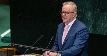 Is it really so bad if Albanese doesn't meet with Trump?