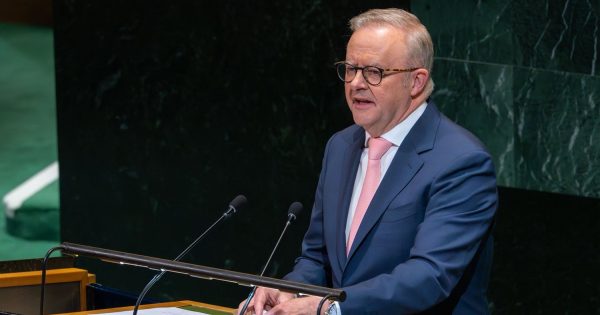 Is it really so bad if Albanese doesn't meet with Trump?