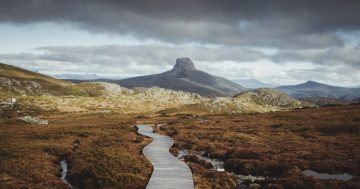 Luxury travel group lists Apple Isle's natural temptations as among the world's best