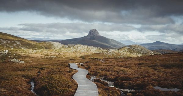 Luxury travel group lists Apple Isle's natural temptations as among the world's best