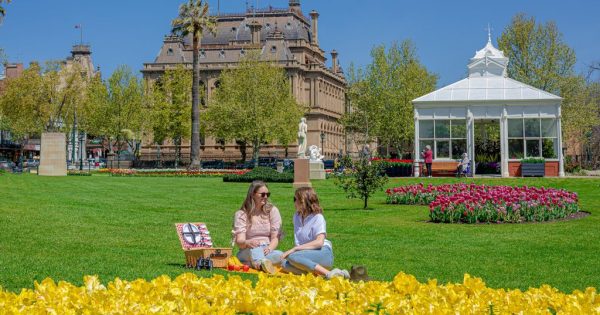 Bendigo's Bloom springs to life with nearly 100 activations and experiences