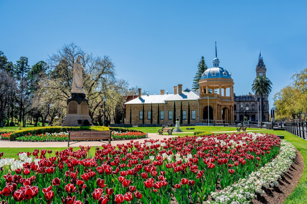 A tulip garden in a park, with a statue and historical building in the background