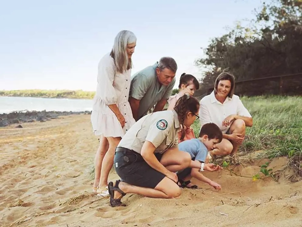 people looking at a turtle egg-laying site