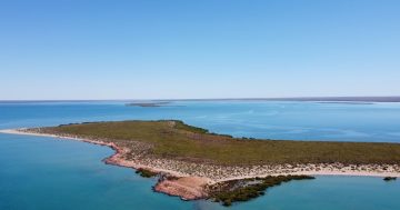WA Government to create marine park to protect unique ecosystem in Exmouth Gulf